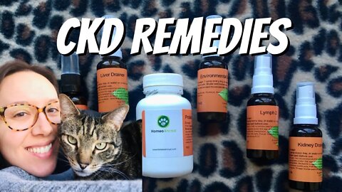 Natural remedies for cats with kidney disease