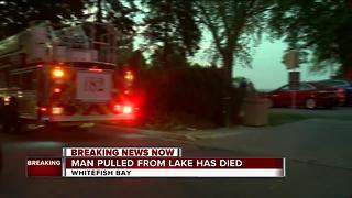 Man rescued from Lake Michigan dies