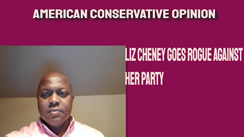 Liz Cheney goes rogue against her party