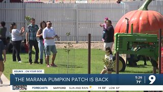 Marana Pumpkin Patch opens