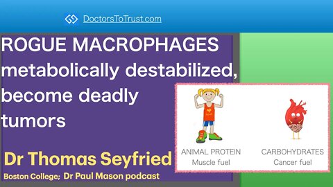 TOM SEYFRIED 5 | ROGUE MACROPHAGES metabolically destabilized, become deadly tumors