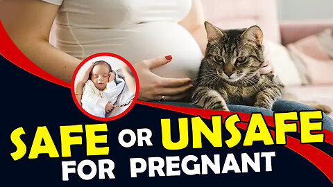 IS IT SAFE FOR A PREGNANT WOMAN TO HAVE A CAT? ( SAFE OR DANGEROUS FOR THEIR BABY )