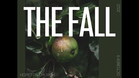 The Fall