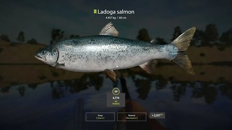 Russian Fishing 4 Volkhov River Ladogo Salmon 4.457 Kg