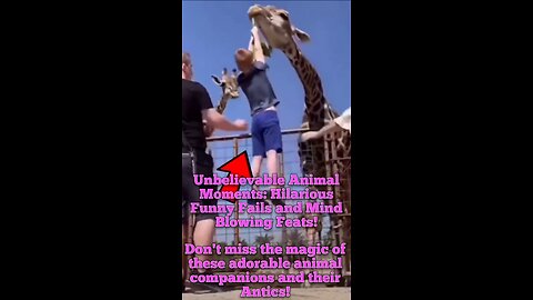Unbelievable Animal Moments: Hilarious Fails and Mind-Blowing Feats!