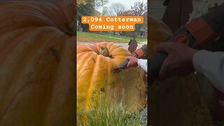 Grow a Giant Pumpkin