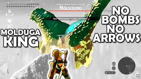 MOLDUGA-KING (no bombs, no arrows) | Breath of the Wild | Zelda BotW | Basement | S3E86