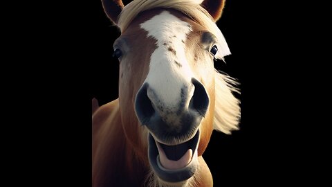 Ready to Laugh? Check Out These Hysterical Horse Clips!