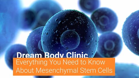 Everything You Need to Know About Mesenchymal Stem Cells