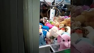 pegando urso pelucia na maquina 6(4)