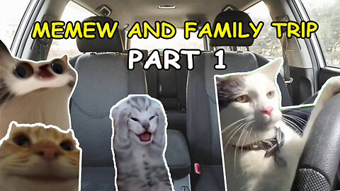 CAT MEMES: MEMEW AND FAMILY TRIP - PART 1