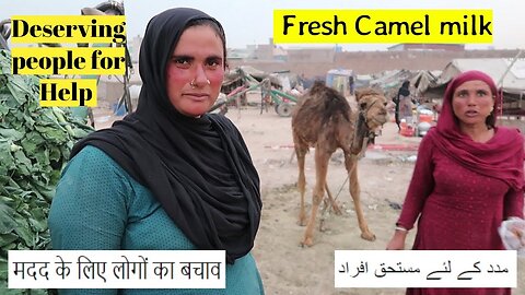 FRESHEST Camel Milk | Street Food Peshawar | Pakistan Street Food