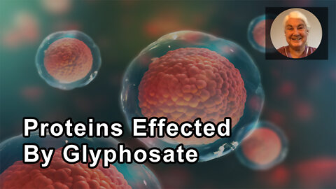 The Proteins That Can Be Effected By Glyphosate - Stephanie Seneff, PhD - Interview