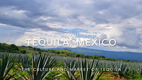TEQUILA, JALISCO | Tequila Guide | Trip Guide | Mexican Culture