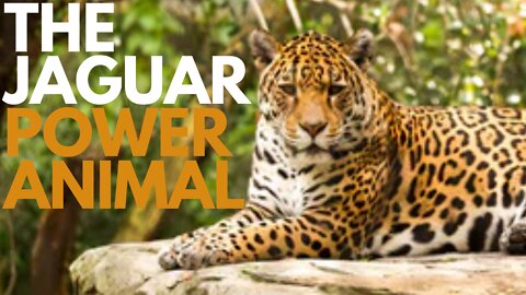The Jaguar Power Animal