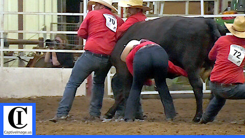 Wild Cow Milking - 2021 Ben Johnson Days Rodeo | Friday