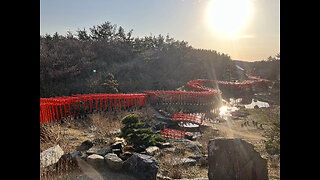 Senbon Torii at Takayama Inari Shrine