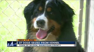 37 dogs seized from kennel in Sheboygan Co.