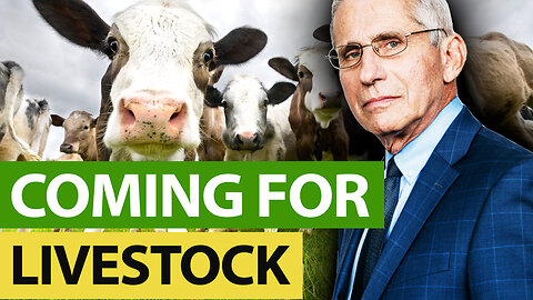 Yes! They ARE Making CLOTSHOTS For LIVESTOCK!