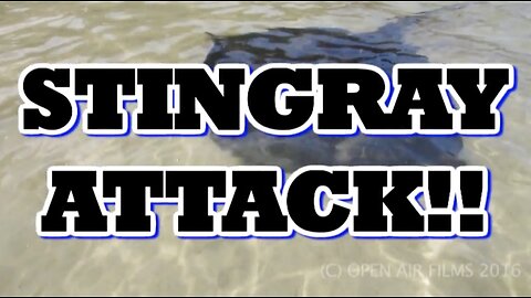 STING RAY ATTACK!!!