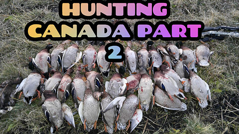 Saskatchewan Canada duck and goose hunting First Evening Waterfowl Guided Hunt