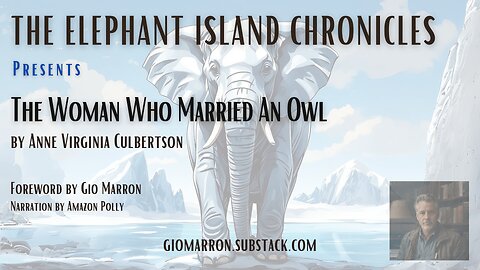 The Woman Who Married An Owl, by Anne Virginia Culbertson