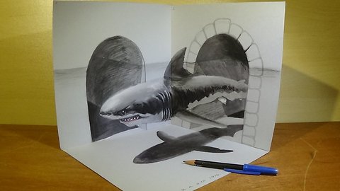 Great White Shark, Trick Art in 3D, Drawing an Amazing Animal by Vamos