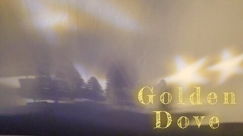 Zoey The White Lioness - Golden Dove (Music Video)