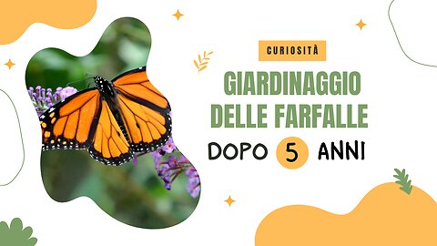 Informazioni poco note sul giardinaggio delle farfalle - dopo 5 anni