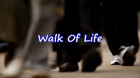 Walk of Life - Dire Straits - Sven Otten - JUSTSOMEMOTION - w/lyrics