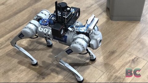 RoboGuide robot dog uses AI to assist the visually impaired