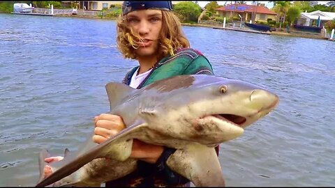 MONSTER SHARK FISHING - Catching DEADLY BULLSHARKS! (PRIVATE ISLAND)