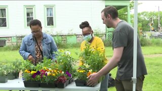 Bloom and Groom helps Milwaukee neighborhoods spruce up for spring