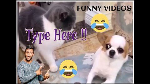 Funny Dogs and cats Videos || Dogs Videos || Cats Videos