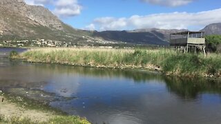CAPE TOWN - South Africa - Canal Nets in Sand Rive (Video) (KPQ)