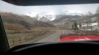 Rocky Mountain Elk Part 2