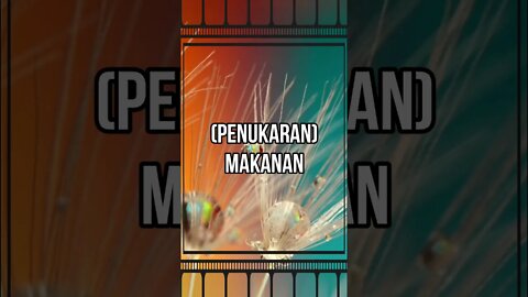 Jual-beli (penukaran) makanan harus dengan yang sama kadarnya