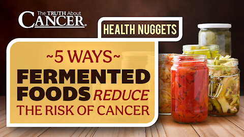 The Truth About Cancer: Health Nugget 8 - 5 Ways Fermented Foods Reduce The Risk of Cancer