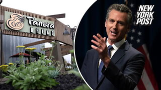 Panera Bread exempt from California's $20 minimum wage law after owner donated to Gov. Newsom: report
