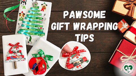 PAWsome Gift Wrapping Hacks