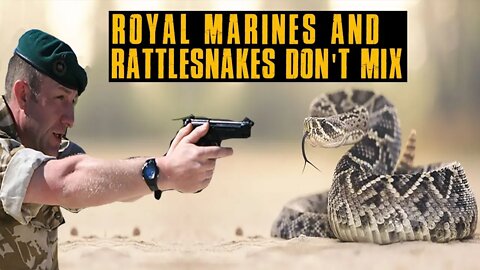 Royal Marines and Rattlesnakes Don't Mix!
