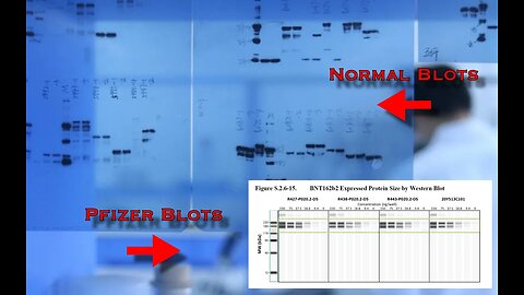 Jessica Rose PhD Interview - #Blotgate & The Unknown Risks Of "Truncated Spike Protein"