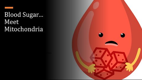 Blood Sugar...Meet Mitochondria
