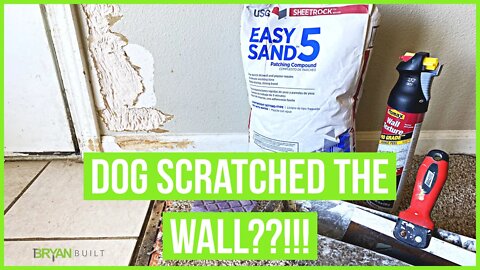 DOG SCRATCHED THE WALL?!! | How To Repair Wall Scratches and Nail Holes Using Homax Wall Texture Can