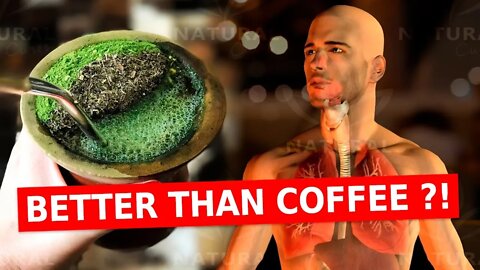 Why You Should Ditch Coffee For The Benefits of Yerba Mate
