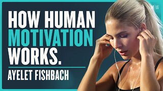 The Psychology Of Human Motivation - Ayelet Fishbach | Modern Wisdom Podcast 447