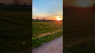 Sun setting over a field