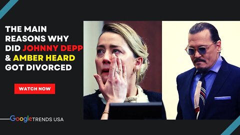 The Main Reasons Why Did Johnny Depp & Amber Heard Got Divorced