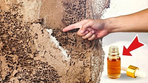 Put A Few Drops Of This Oil And Say Goodbye To Termites