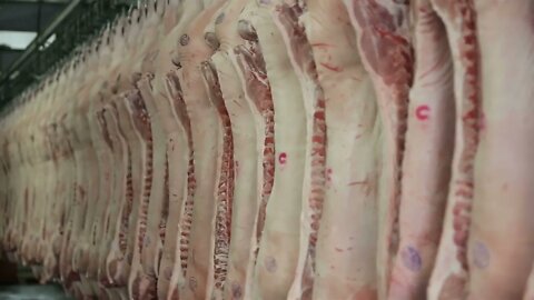 Pork body hanging in the freezer Meat Factory Meat processing in food industry